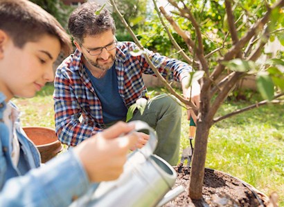 Father and son planting tree