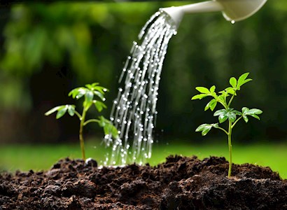 Watering soil